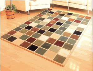 ���O�A�J�[�y�b�g�A�W���[�^��